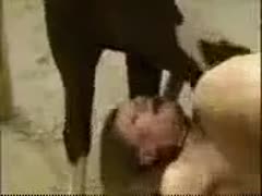Amazing married hussy getting drilled by a horse in this gripping xxx beast fetish flick